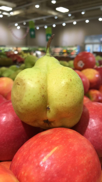 This pear I found at the grocery store