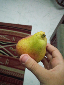 this pear legit looks like a bird
