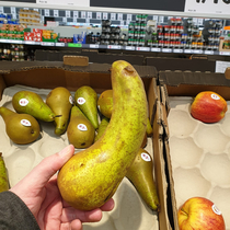 This pear may have been raised by bananas