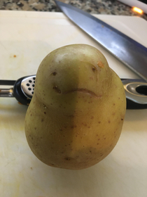 This perplexed potato