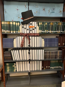 this person decorating the bookshelf hope it belongs here its funny for me at least