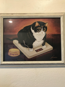 This picture is at our vets office I dont know exactly why but it gets me every time