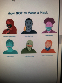 This picture on how not to wear a mask from my company orientation