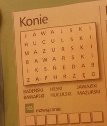 This Polish word search was not very difficult