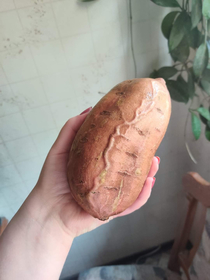 This potato has been in the pen so damn long that I dont think its sweet anymore