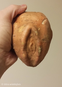 This potato needs a good mashin