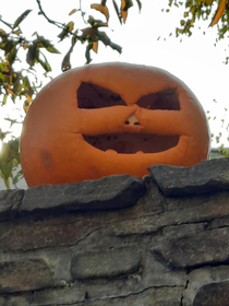 This pumpkin looks like hes on crack