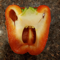 This red pepper I just cut in half looks mad af