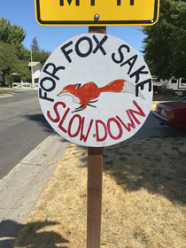 This resident-made sign on a street where a lot of people speed