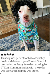 This review for a dog wig I found in Etsy