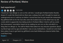 This review I found of a city in Maine