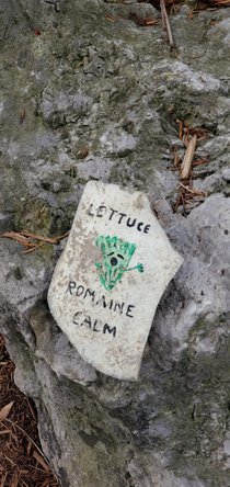 This rock I found on my walk