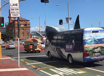 This shark-bus is chasing a fish fillet