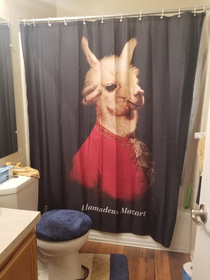 This shower curtain