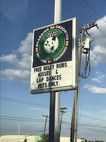 This sign at a dog daycare