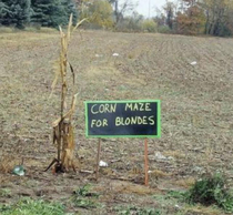 This sign in a nearly empty cornfield