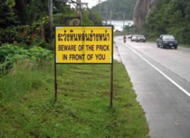 This sign is in Thailand It should be in Philly or NJ or FL