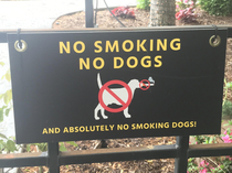 This sign prohibiting smoking dogs