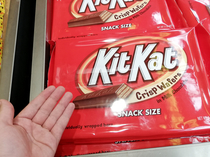 This Snack Size aka HUMOUNGOUS Kit Kat bar at Hershey Park