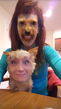 This Snapchat face swap with my Yorkie is absolutely terrifying
