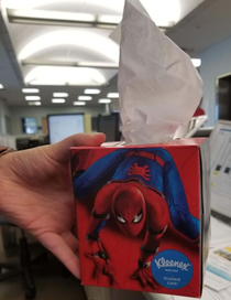 This spiderman tissue box