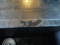 This splash of water on my sink looks like a squirrel with a nut