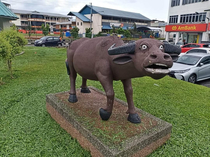 This statue of a water buffalo in Sarawak