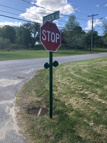This STOP sign made to look like a flower