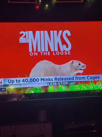 This story on one of my local news channels