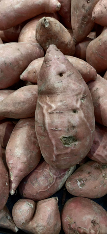 This sweet potatoe is making me uneasy