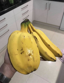 This thicc banana