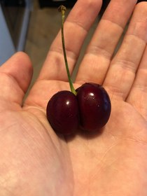 This thicc cherry