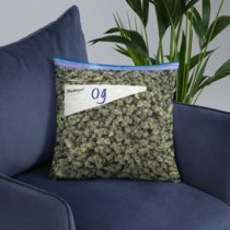 This throw pillow is dope 