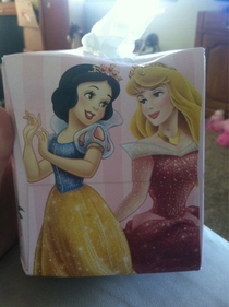 This tissue box makes it look like Sleeping Beauty is touching Snow Whites butt