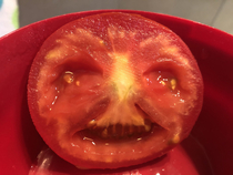 This tomato Thats it thats the post