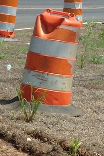 This traffic drum was soo happy to see us