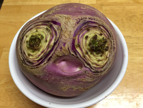 This turnip has seen some things