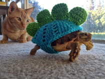 This turtle is wearing a dinosaur costume next to a cat