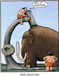 This was my favorite far side