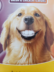 This was on my dogs dental package