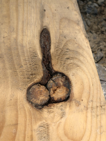 This weirdly shaped knot in the wood