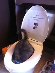 This whole time I thought I had successfully toilet trained my cat this is how I find out she does it