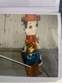 This Woody piata