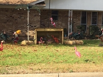 This year my neighbors had a nativity scene made entirely of yard flamingos