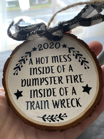 This years ornament just arrived