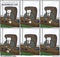 Thought reddit would appreciate this business cat