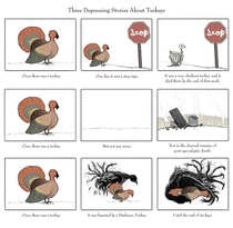 Three depressing tales about Turkeys