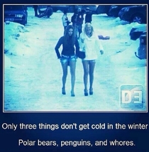 Three things that dont get cold in the winter