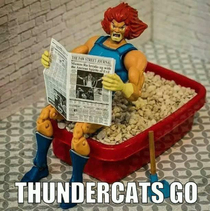 Thunder thunder thunder