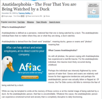 TIL What Anatidaephobia Is